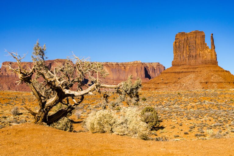 Tales from the Wild West: Adventures in the American West